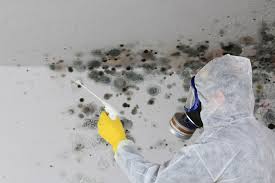 Best Mold Remediation for Healthcare Facilities  in Philmont, NY